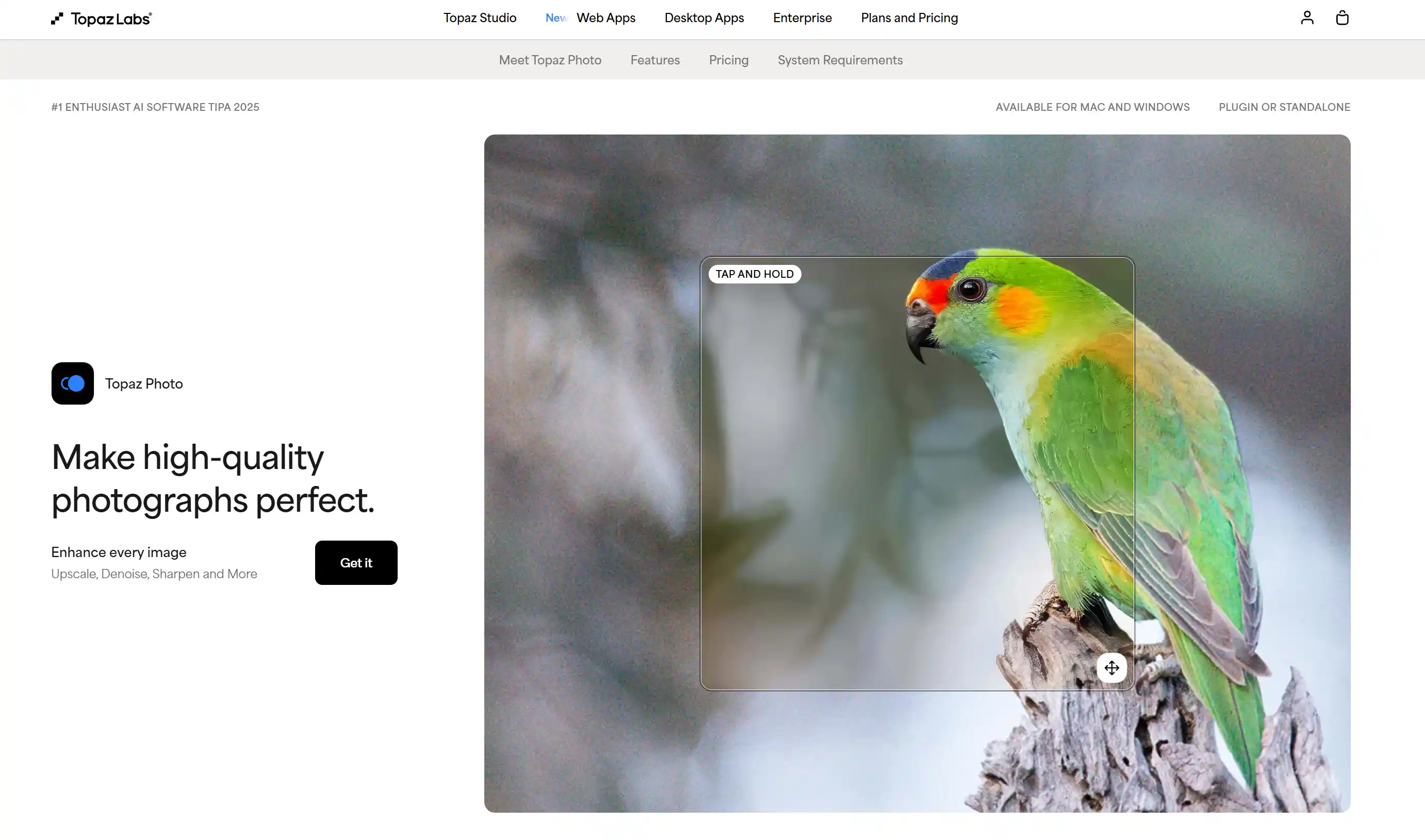 Screenshot del sito web di Topaz Photo AI