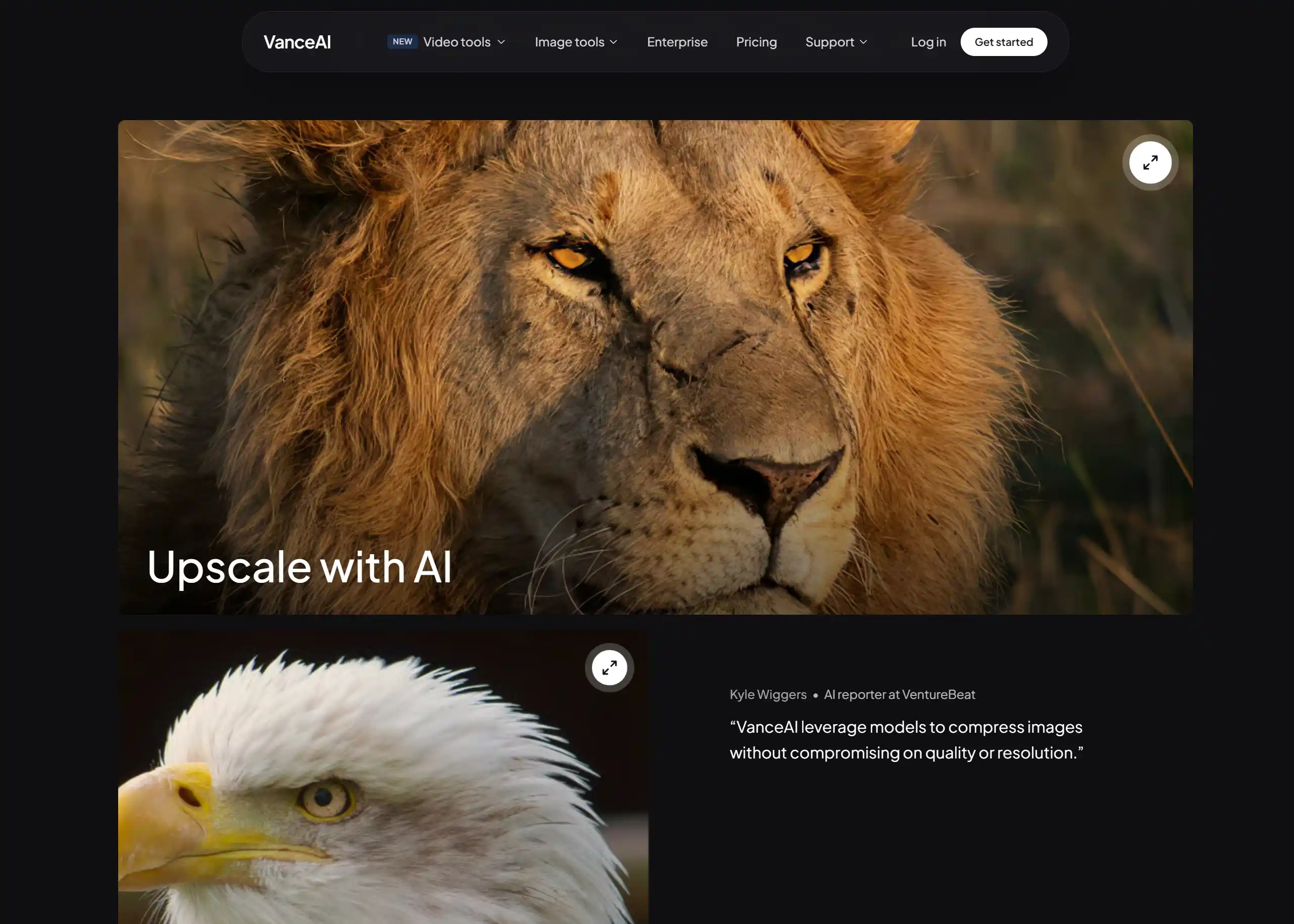 Screenshot del sito web di VanceAI